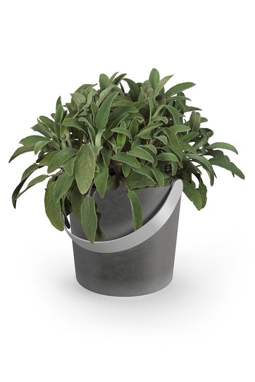 ZACK - TARDO - Petit seau en inox/béton pour plante ou décoration diverse